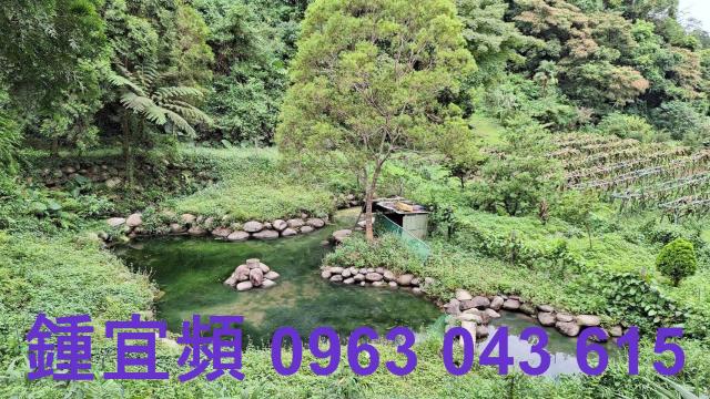 三灣農地-4