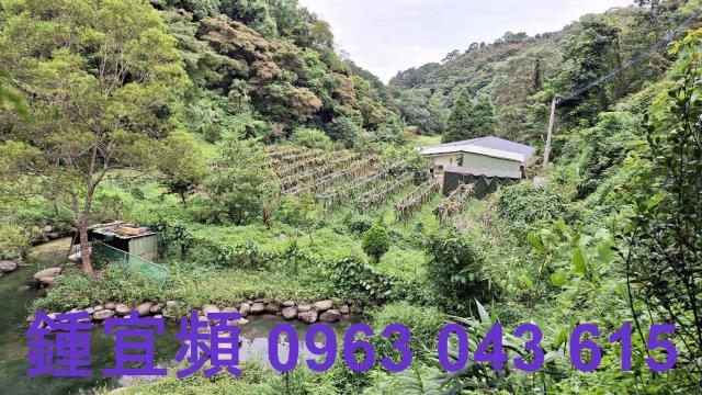 三灣農地-5