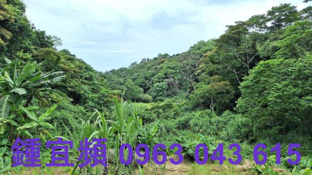 三灣農地-6