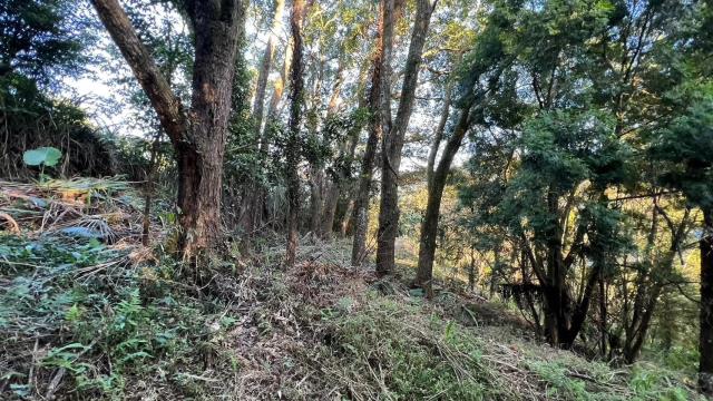 新竹農地-2