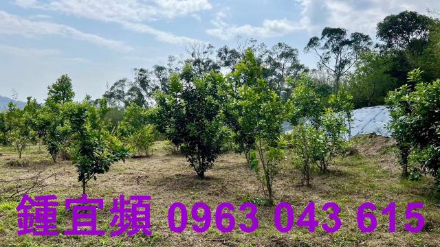 新竹農地-11