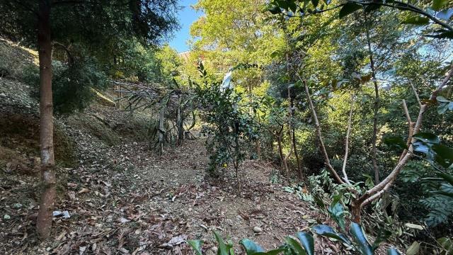 新竹山坡地-14
