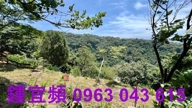 新竹芎林農地-9