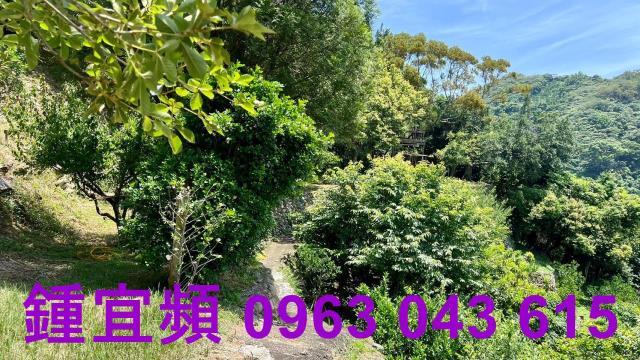 新竹芎林農地-13