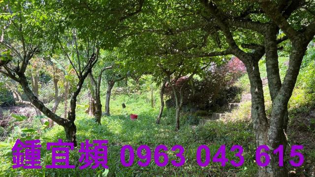新竹芎林農地-1