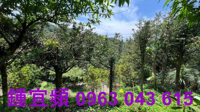 新竹芎林農地-2