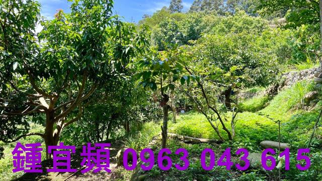新竹芎林農地-6