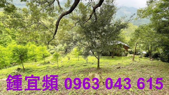 峨眉農地-9