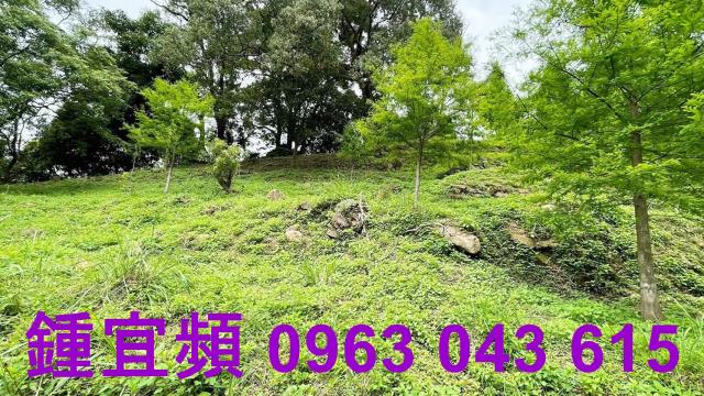 峨眉農地-10