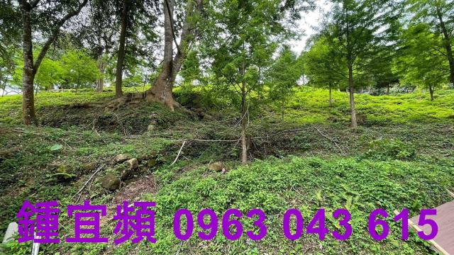 峨眉農地-11
