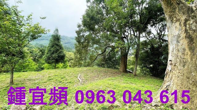 峨眉農地-5