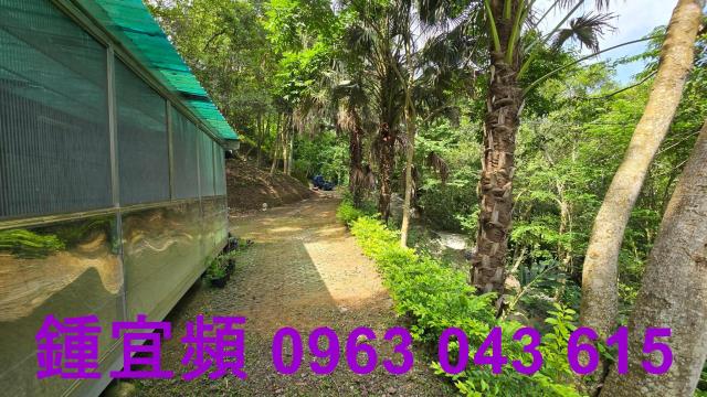 新竹北埔山坡地-12