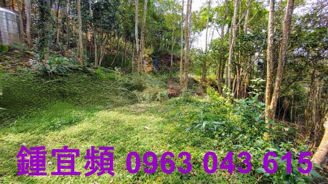 新竹北埔山坡地-14