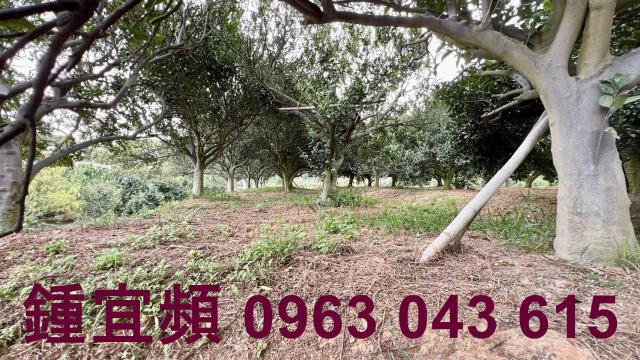 新竹峨眉農地-10