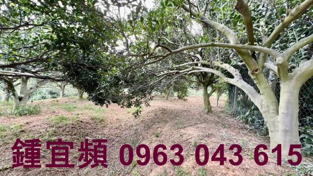 新竹峨眉農地-11