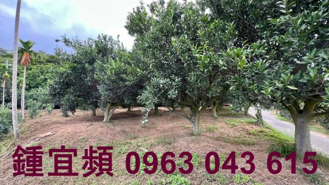 新竹峨眉農地-0