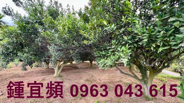 新竹峨眉農地-1
