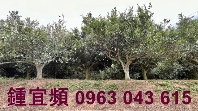 新竹峨眉農地-3