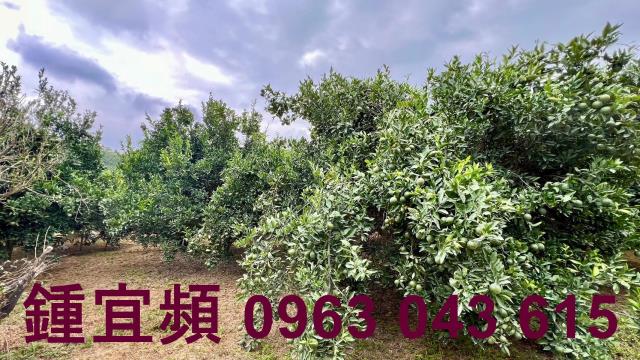 新竹峨眉農地-4