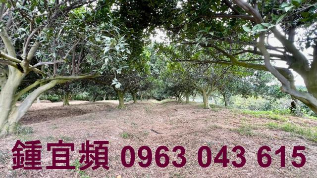 新竹峨眉農地-6