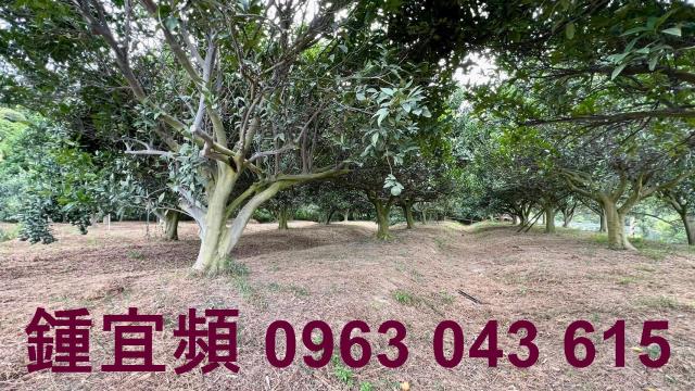 新竹峨眉農地-7