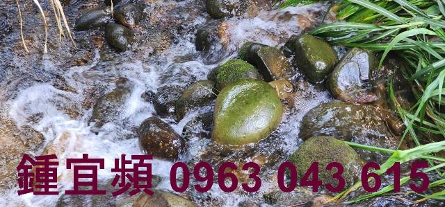 芎林農地-12