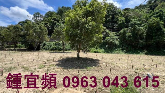芎林農地-3