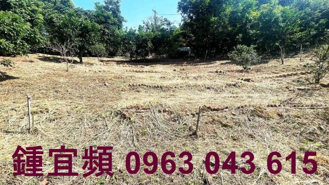 新竹農地-10