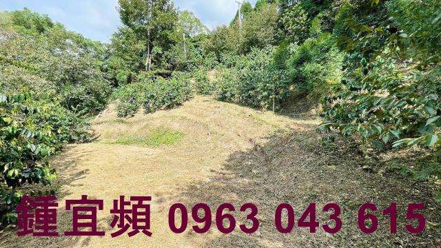 新竹橫山山坡地-11