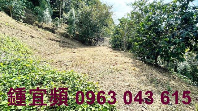 新竹橫山山坡地-12