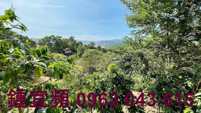 新竹橫山山坡地-14