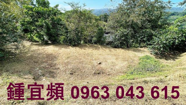 新竹橫山山坡地-2