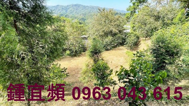 新竹橫山山坡地-3