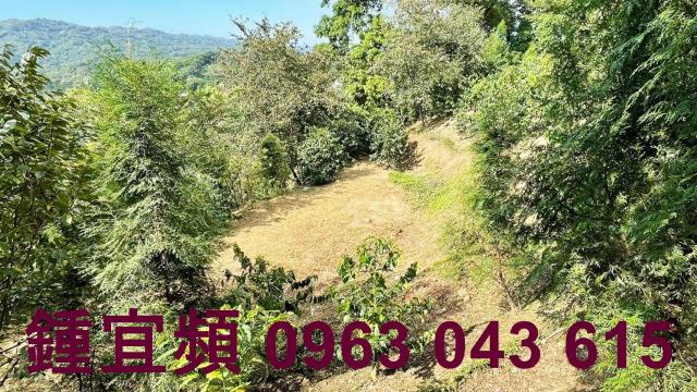 新竹橫山山坡地-4