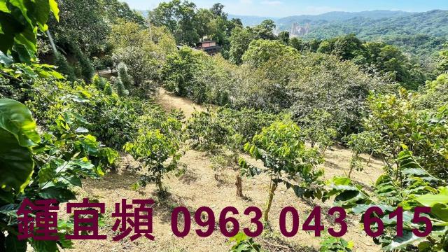 新竹橫山山坡地-5