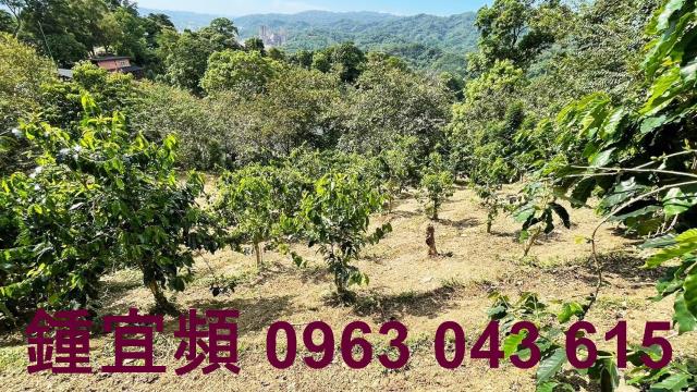 新竹橫山山坡地-6