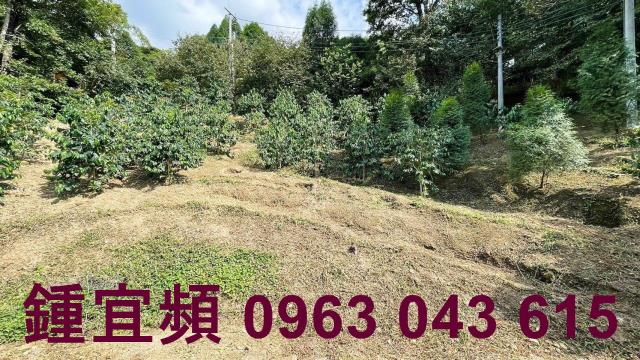 新竹橫山山坡地-7