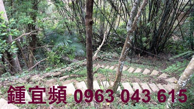 新竹山坡地-11