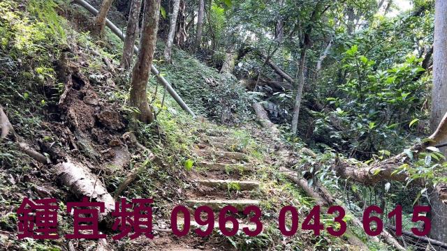新竹山坡地-12