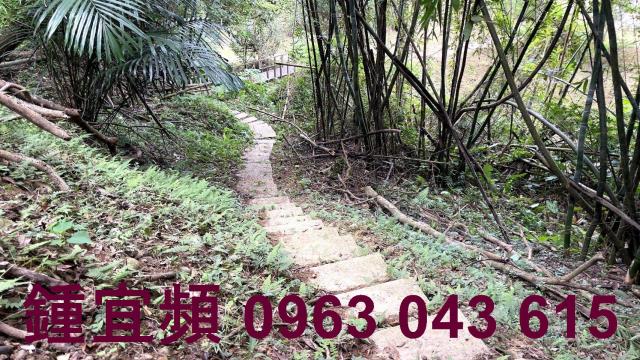 新竹山坡地-13