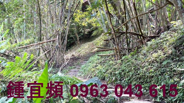 新竹山坡地-14