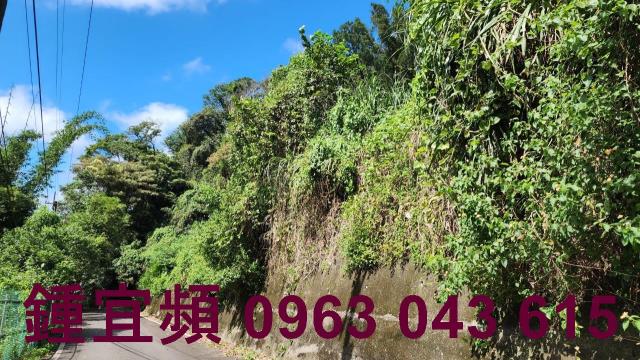新竹芎林山坡地-1