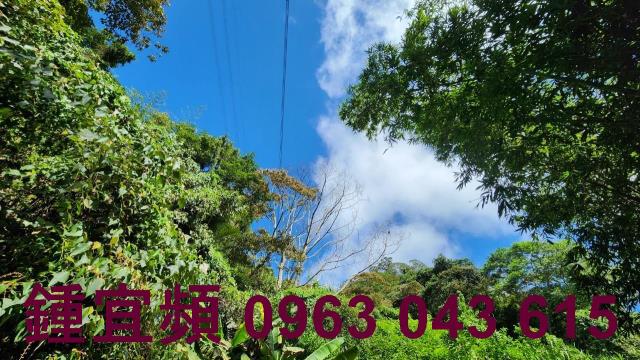 新竹芎林山坡地-3