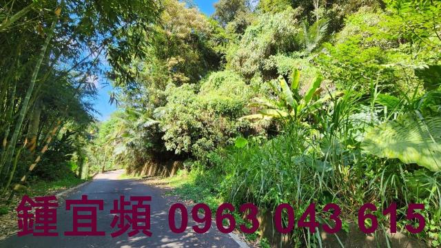 新竹芎林山坡地-4