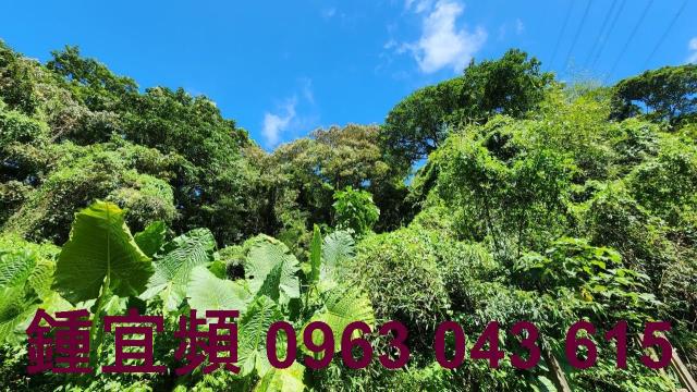 新竹芎林山坡地-6