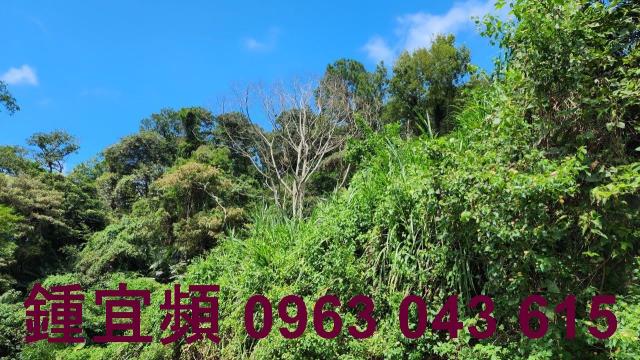 新竹芎林山坡地-8