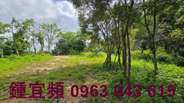 新竹農地-11