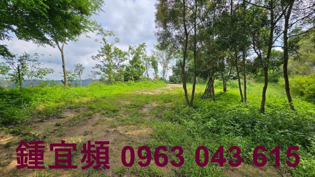 新竹農地-12
