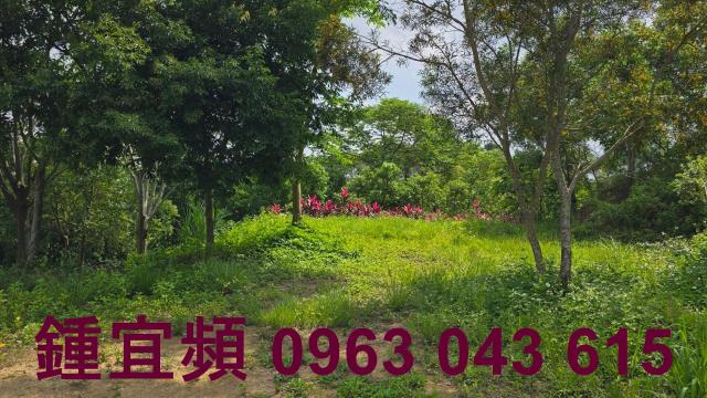 新竹農地-13