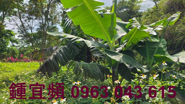 新竹農地-14